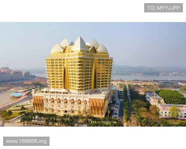 金木棉娱乐：引领潮流的多元娱乐新体验